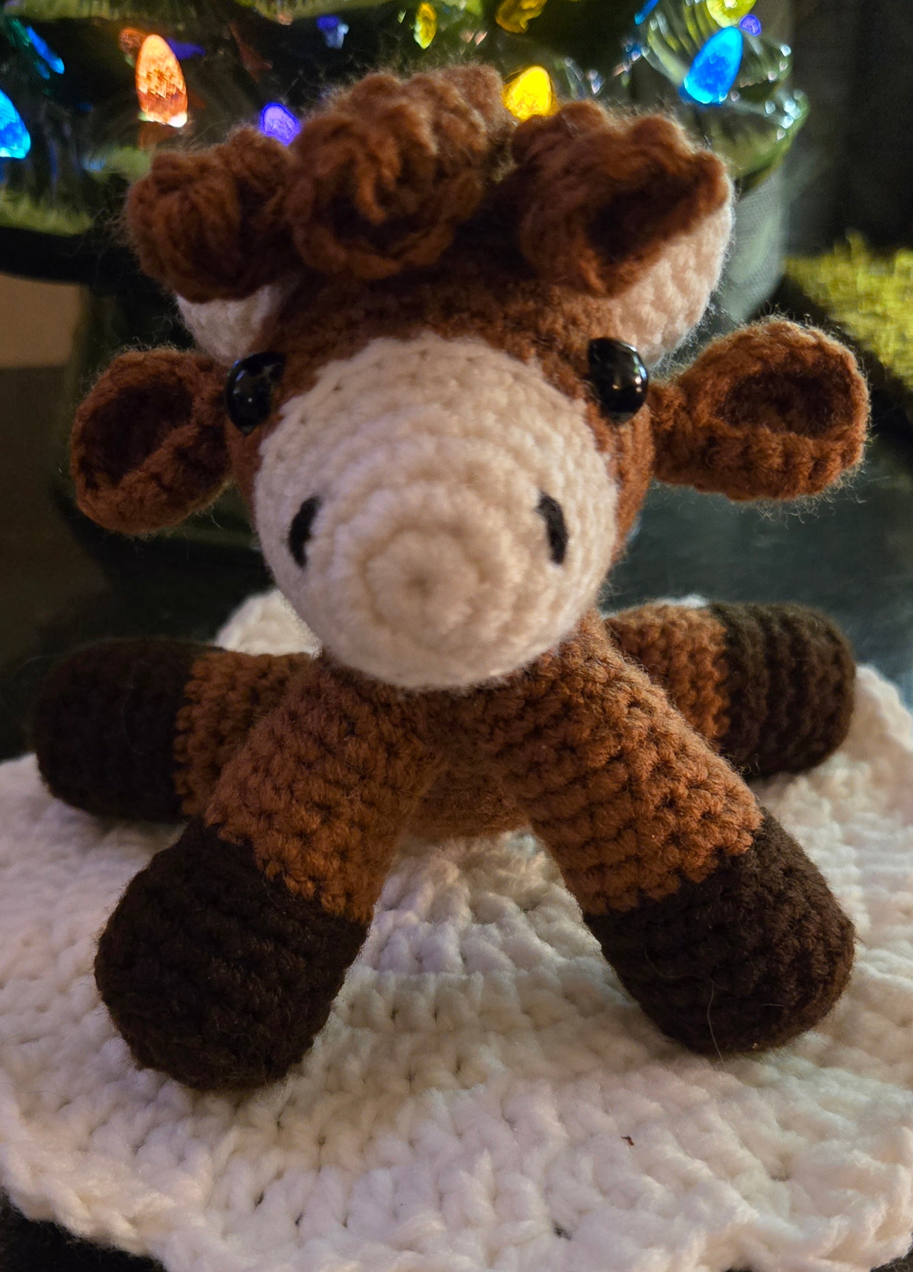 Highland Cow