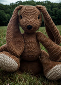 Bunny Rabbit